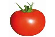 Мелман F1 (23011 F1) - томат індетермінантний, 250 насінин, Lark Seeds (Ларк Сідс) США фото, цiна